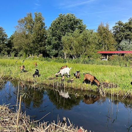 Huisje Op De Dijk Kortenhoef Exterior foto