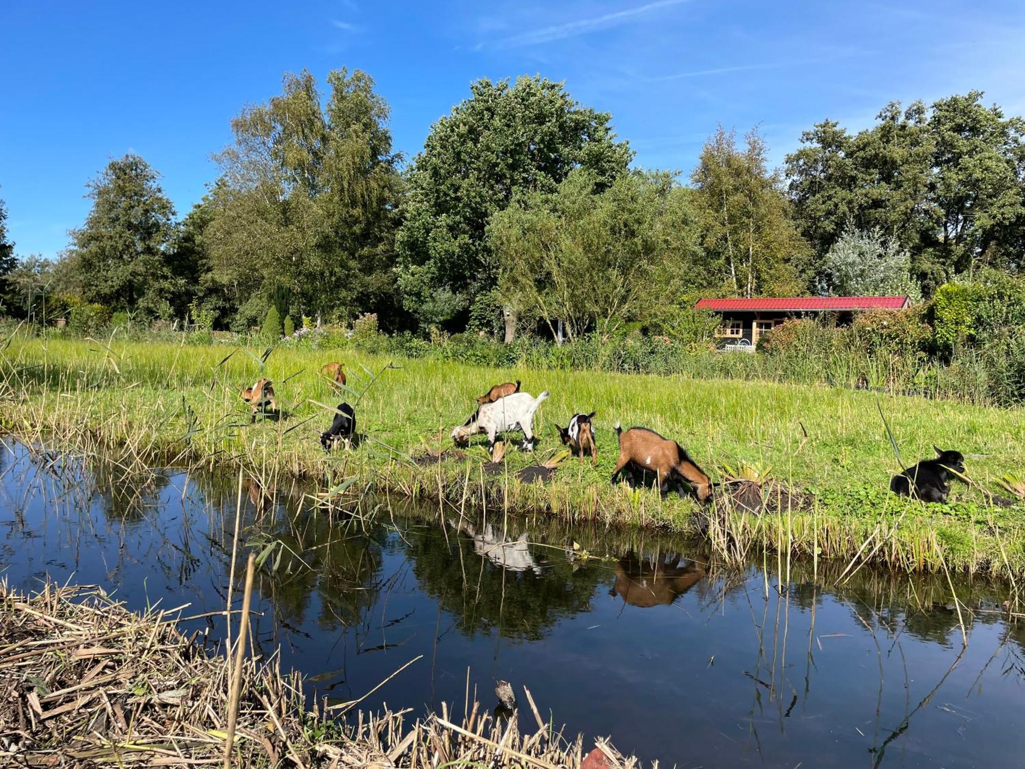 Huisje Op De Dijk Kortenhoef Exterior foto